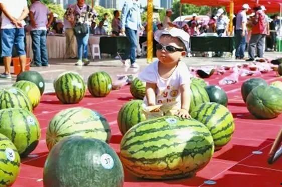 吃瓜网每日大赛最新入口,揭秘最新入口，精彩赛事不容错过！